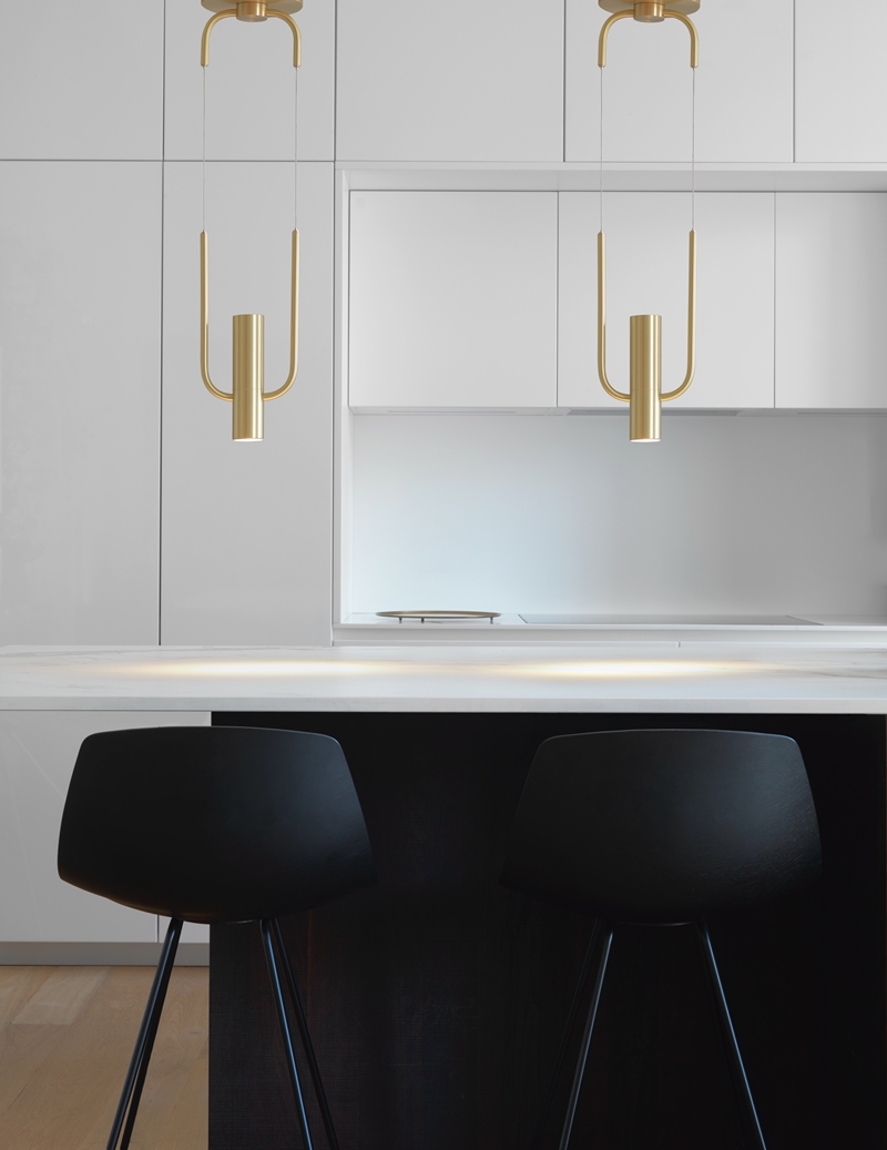 Golden Metal Hanging Lamps Indoor Pendant Lighting (4208101)