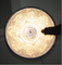 Italian design Lamp skyflower garden Pendant Lamp （3018101）