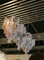 Atlantis Stream Long Suspension Light Interior Lighting