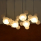 Cute beautiful ear shape glass LED chandelier light for home residence lighting (5300601)